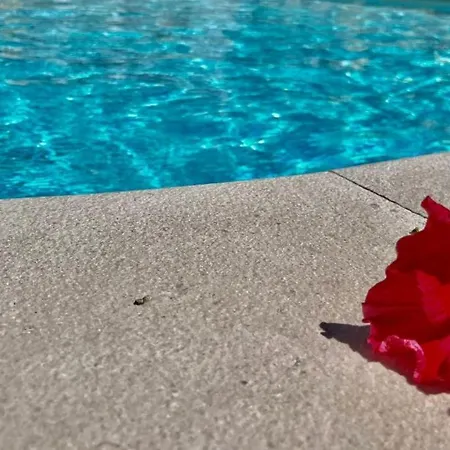 Appartement Private Pool & Free Parking 5 Min Drive To Tavira